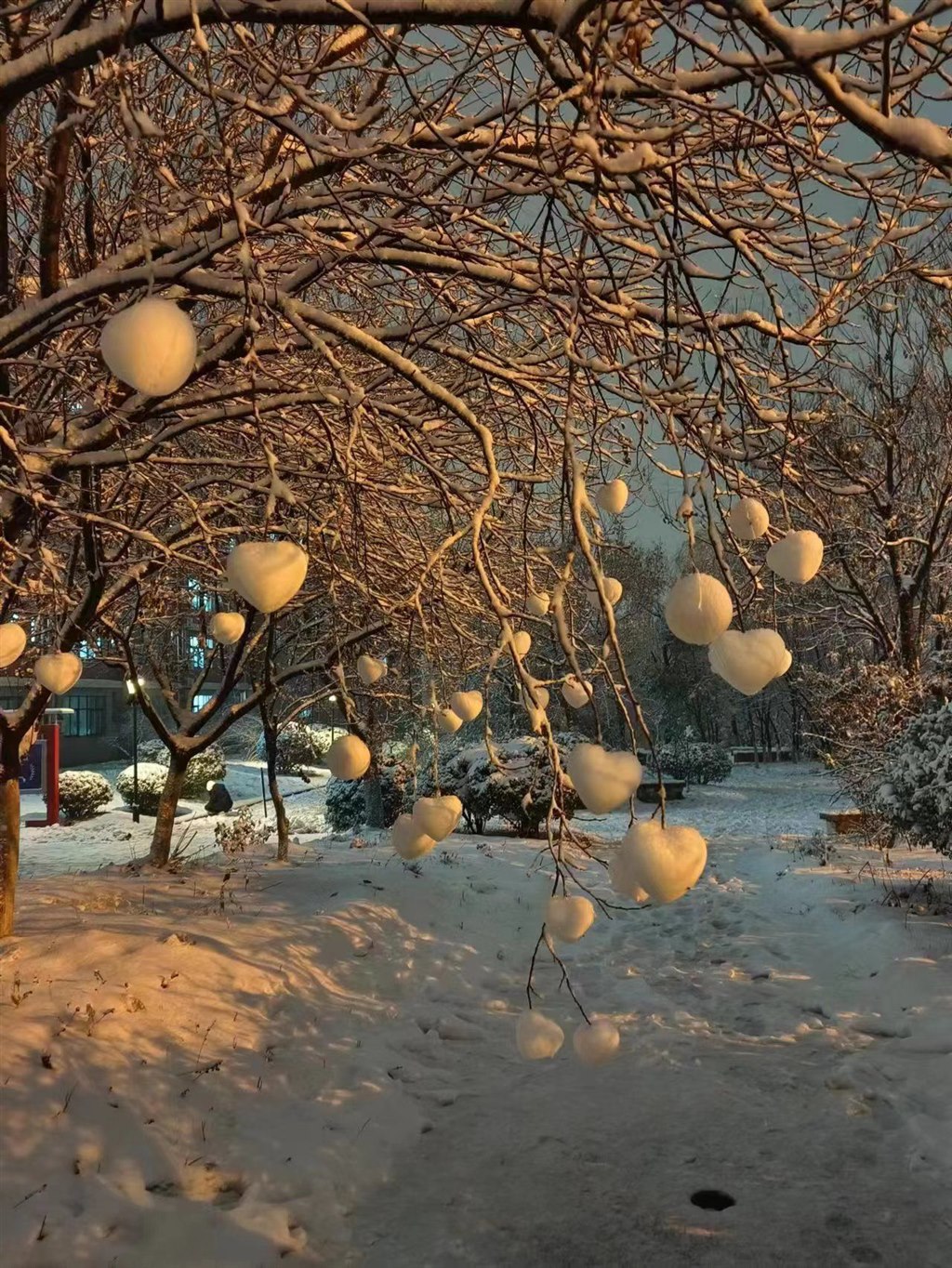 二等獎(jiǎng) 23軌道運(yùn)營2班張利偉《冬日雪景》.jpg